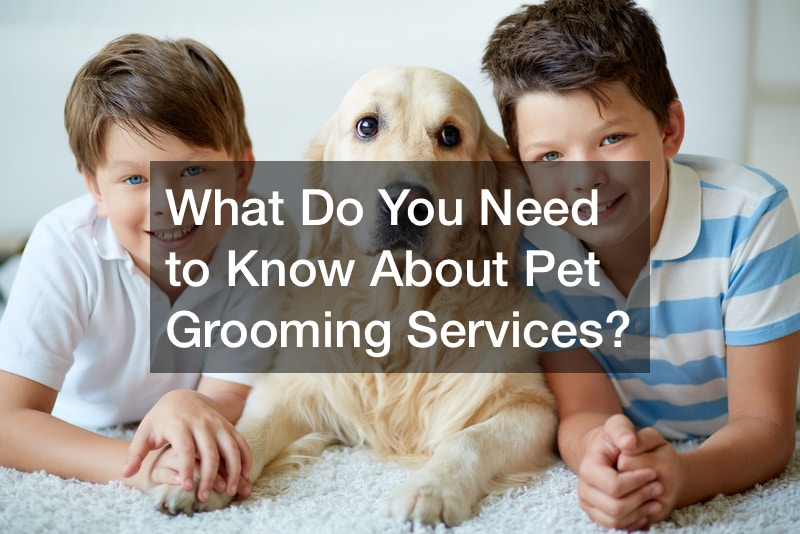 What Do You Need to Know About Pet Grooming Services?