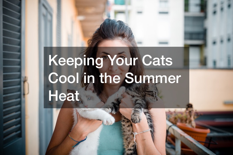 Keeping Your Cats Cool in the Summer Heat
