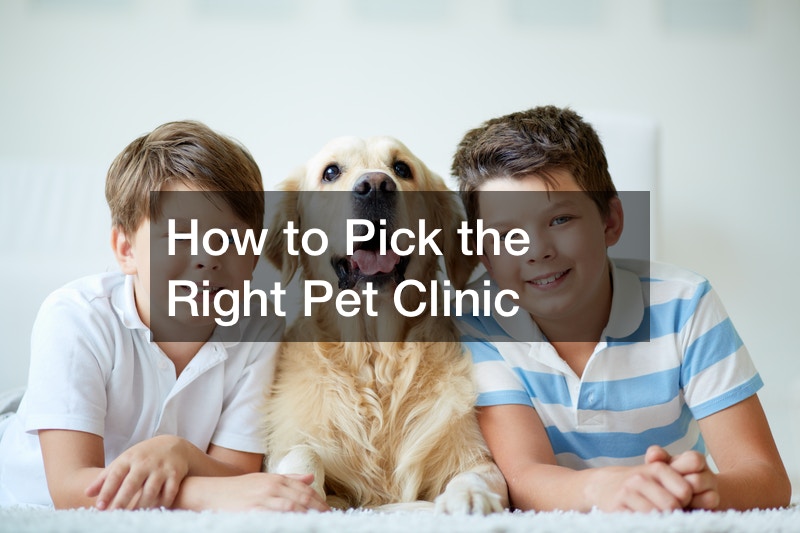 How to Pick the Right Vet Clinic