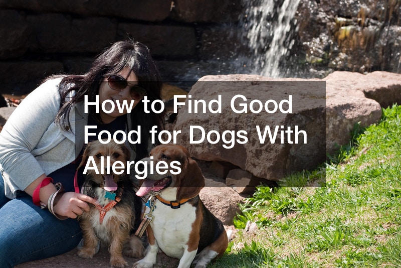 How to Find Good Food for Dogs With Allergies