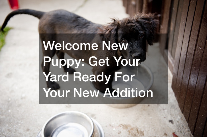 Welcome New Puppy  Get Your Yard Ready For Your New Addition