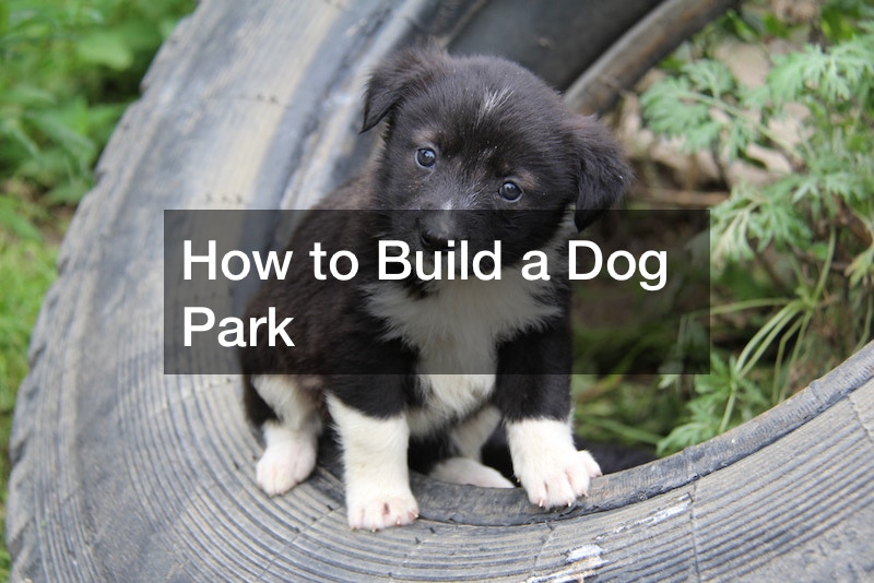 How to Build a Dog Park