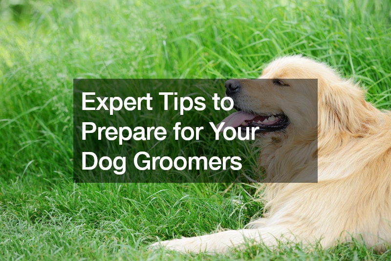 Expert Tips to Prepare for Your Dog Groomers