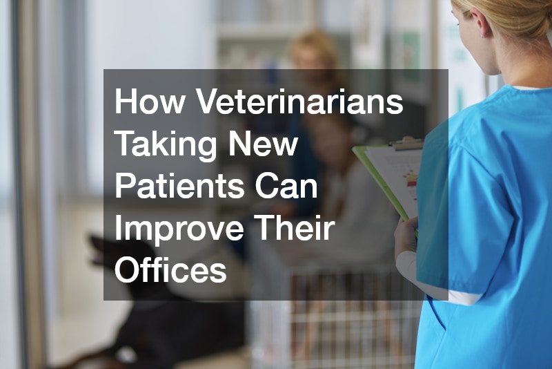 How Veterinarians Taking New Patients Can Improve Their Offices