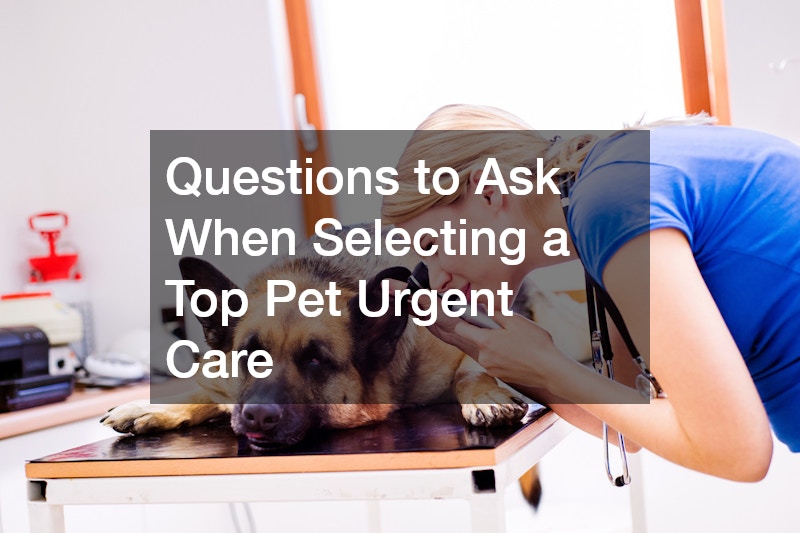Questions to Ask When Selecting a Top Pet Urgent Care